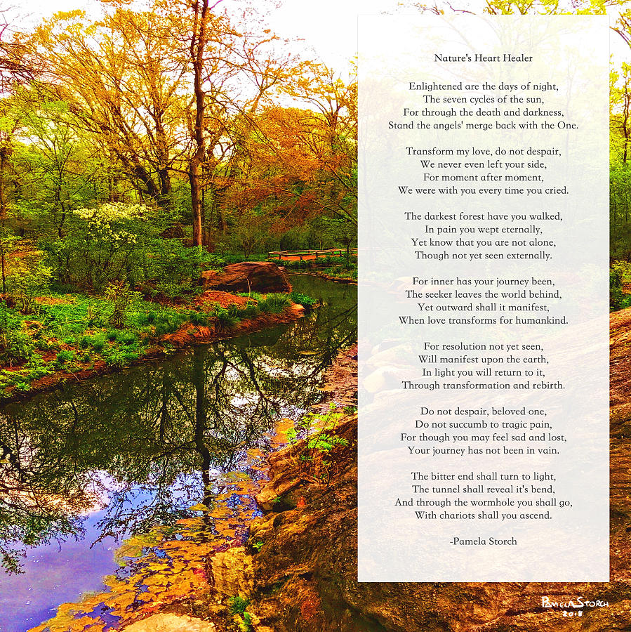 Central Park Digital Art - Natures Heart Healer Poem by Pamela Storch
