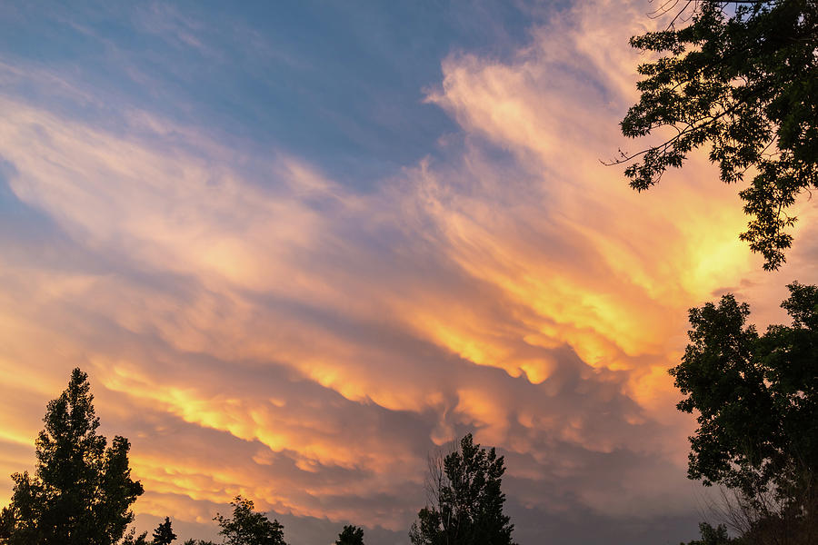 Natures Mammatus Cloudscape Painting by James BO Insogna Natures Mammatus Cloudscape Painting by James BO Insogna