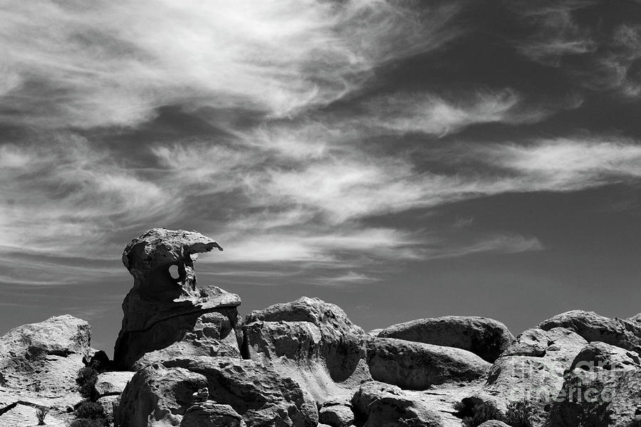 Natures Rock Sculptures in Black and White Bolivia Photograph by James Brunker