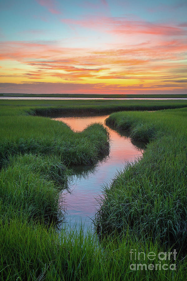 Landscape Photograph - Nauset Marsh at Fort Hill by Benjamin Williamson