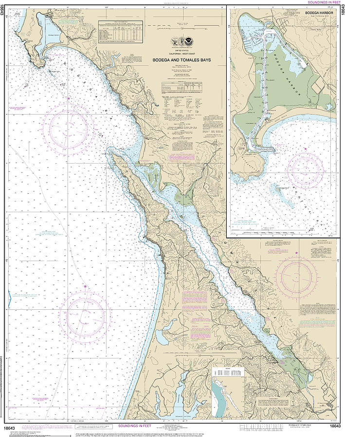 Bodega Mixed Media - Nautical Chart-18643 Bodega-tomales Bays, Bodega Harbor by Bret Johnstad
