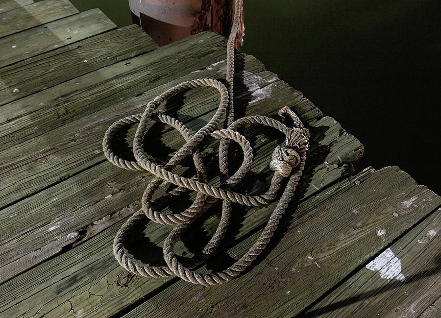Nautical rope at the dock by David Ilzhoefer