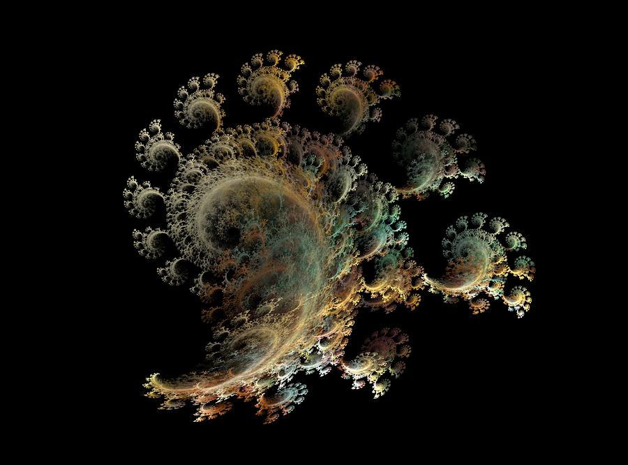 Fractal Digital Art - Nautical Symbols Spiraling Finger Corals by Betsy Knapp Fractal Digital Art - Nautical Symbols Spiraling Finger Corals by Betsy Knapp