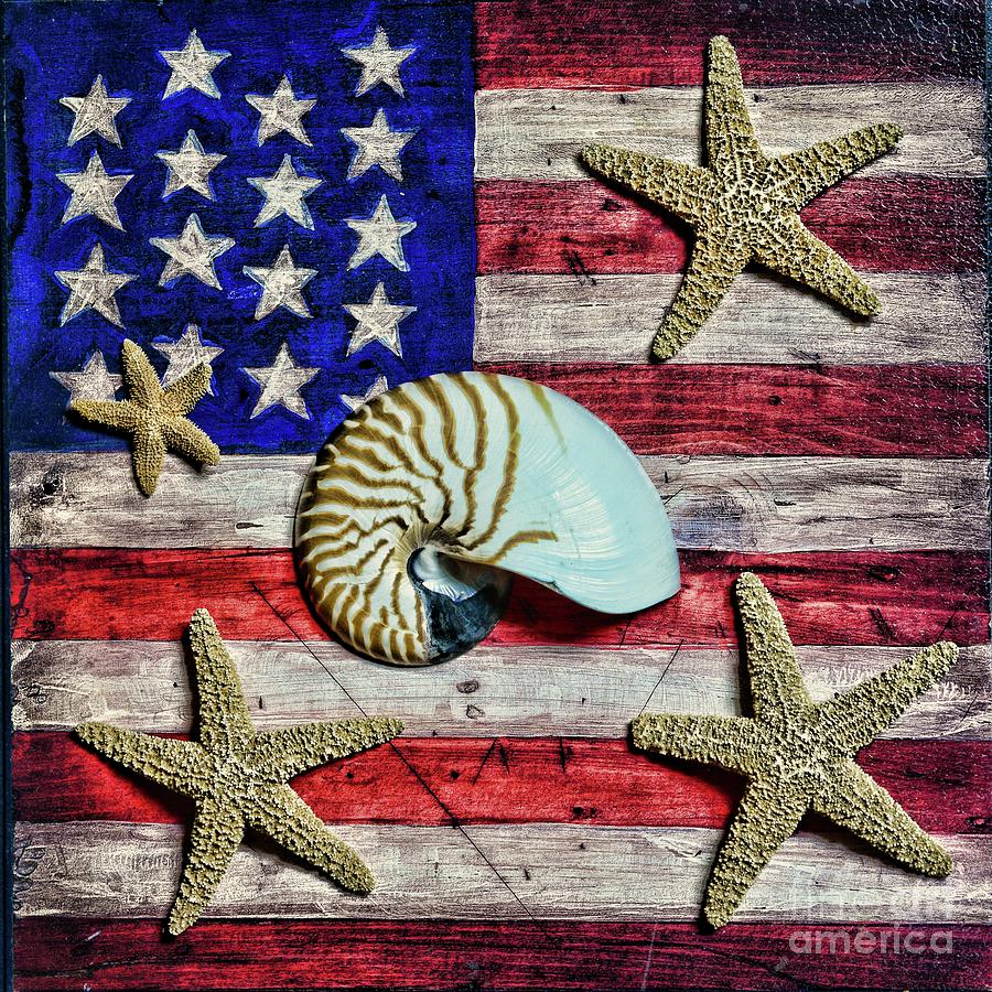 Nautilus and Starfish on American Flag Square Format Photograph by Paul Ward