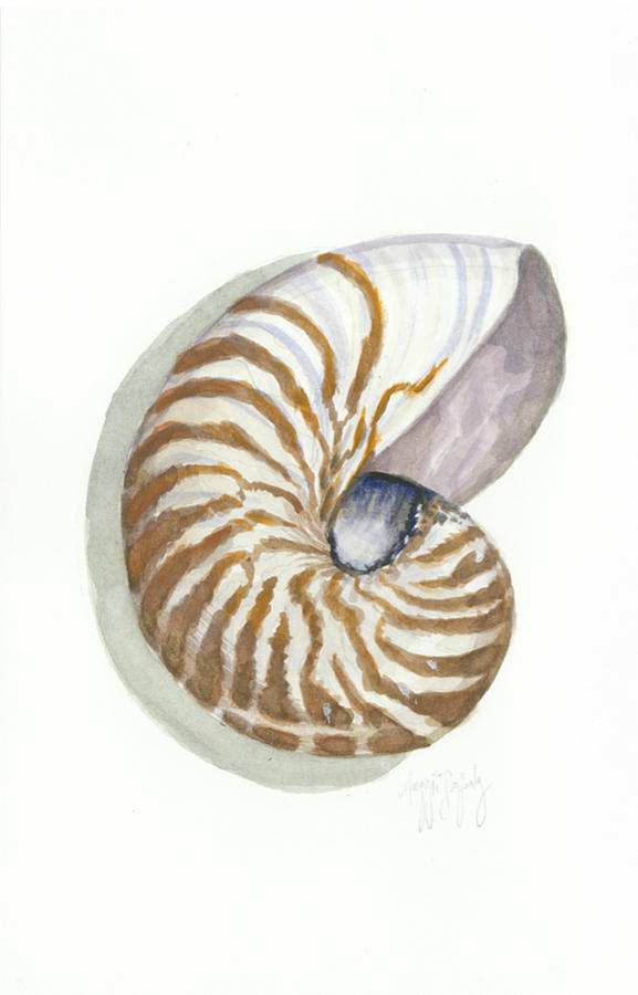 Nautilus  Painting by Maggii Sarfaty