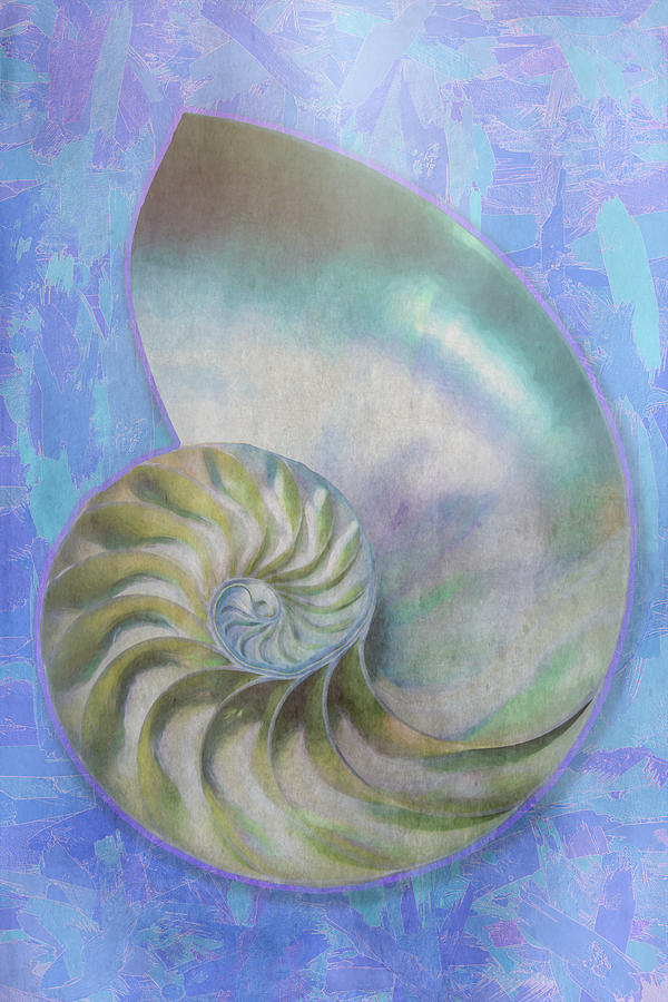 Nautilus Shell 701 Painting By Mike Penney