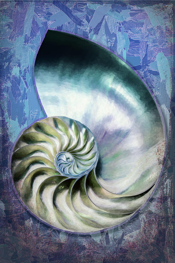 Nautilus Shell 703 Painting by Mike Penney