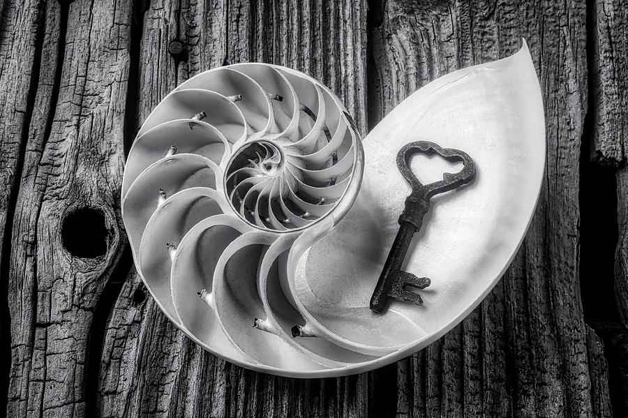 Nautilus Shell And Old Key Black And White Photograph by Garry Gay