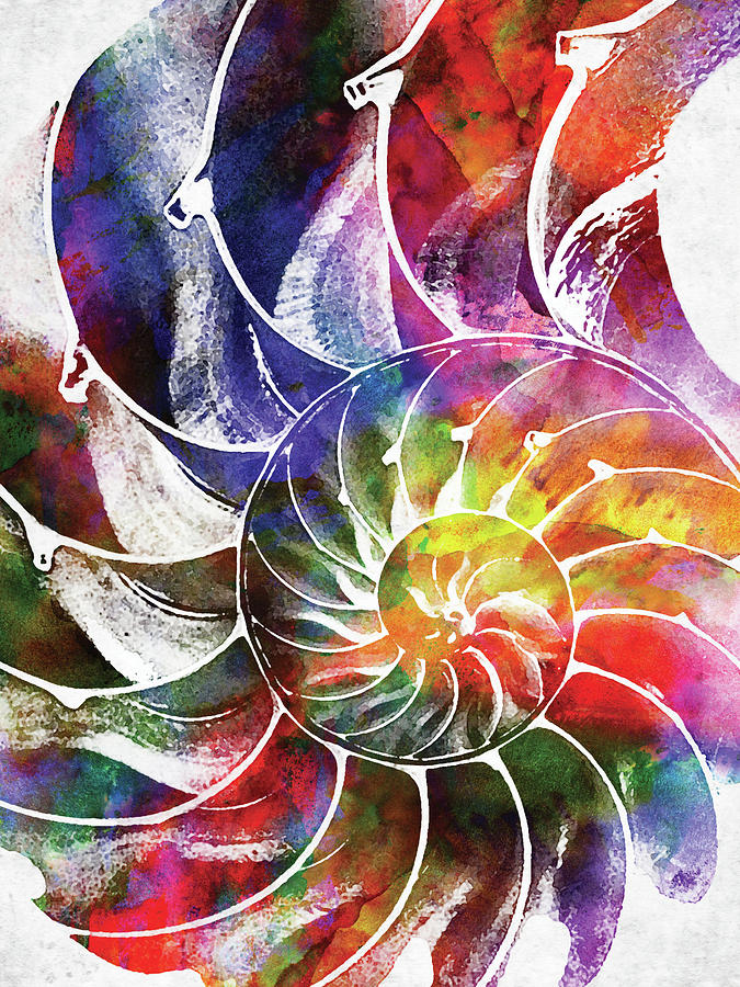 Nautilus Shell Colorful Watercolor 2 Digital Art By Mihaela Pater