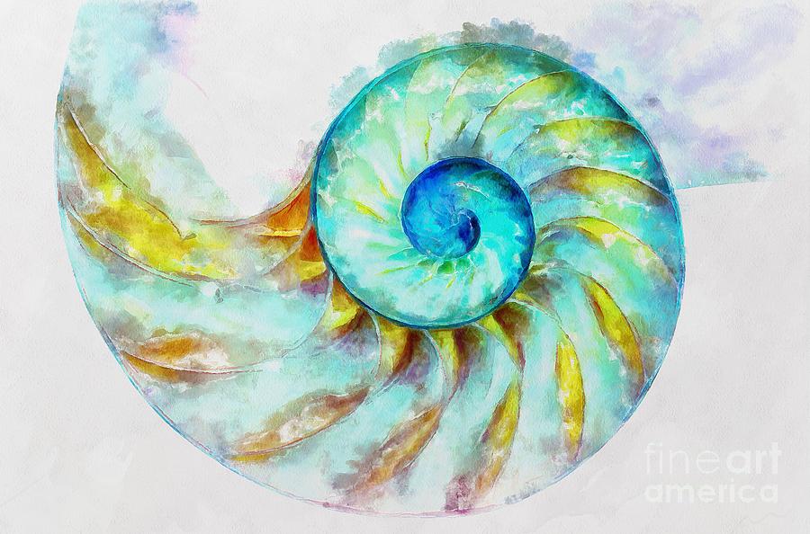 Nautilus Shell Painting By Pamela Coleman