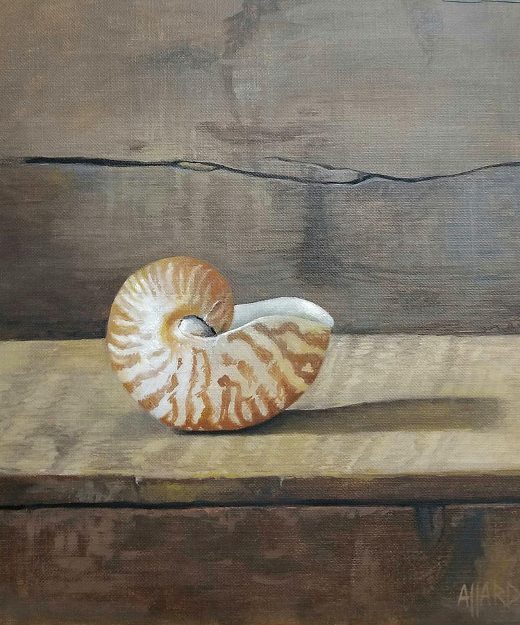 Nautilus Still Life Painting by Kelly Allard - Fine Art America