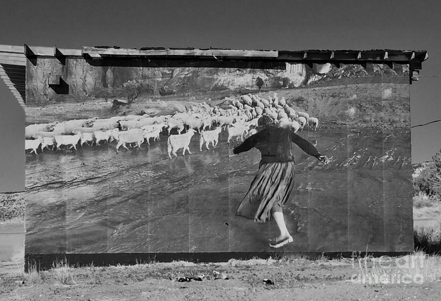 Navajo Grandma Herder Photograph