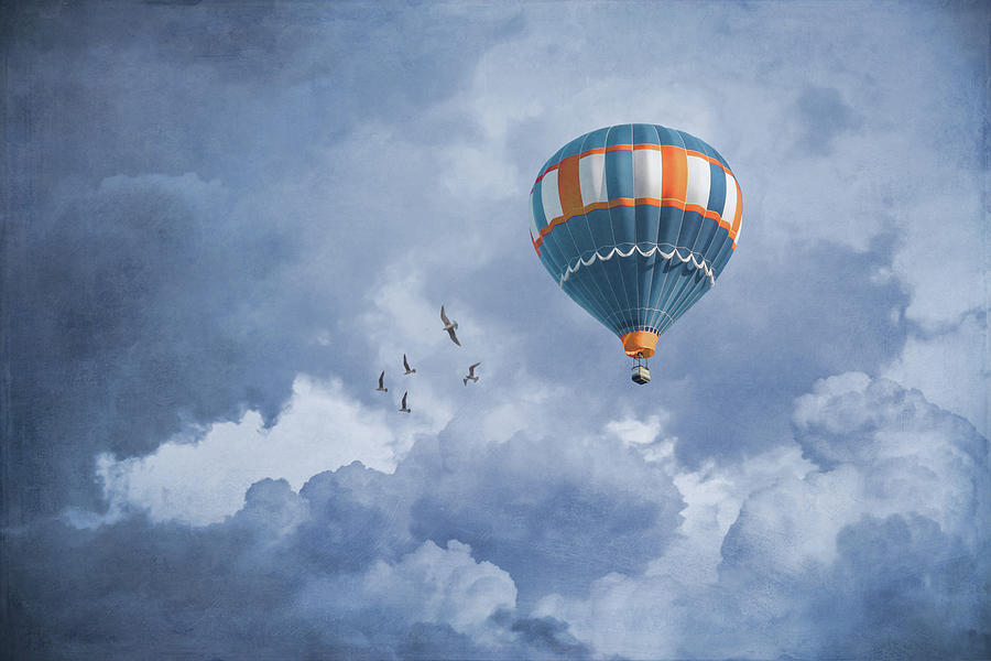 Navy Blue and Orange Hot Air Balloon Photograph by Brooke T Ryan - Pixels