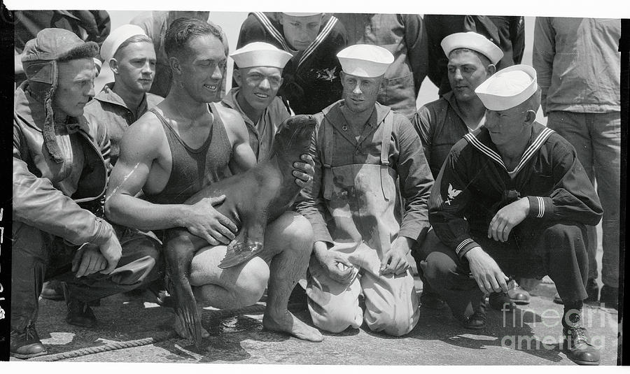 Navy Men Holding Their Mascot Photograph by Bettmann