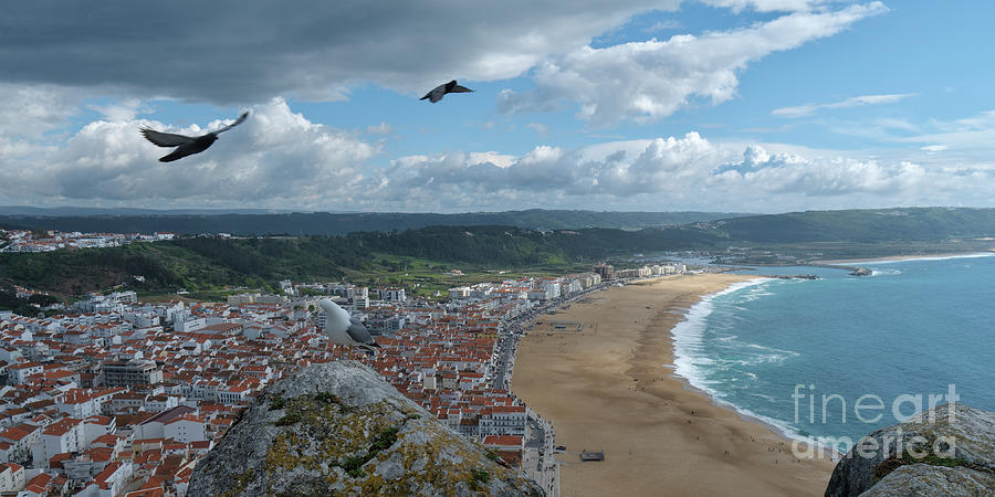 Nazare and Bird Flight by Angelo DeVal Nazare and Bird Flight by Angelo DeVal