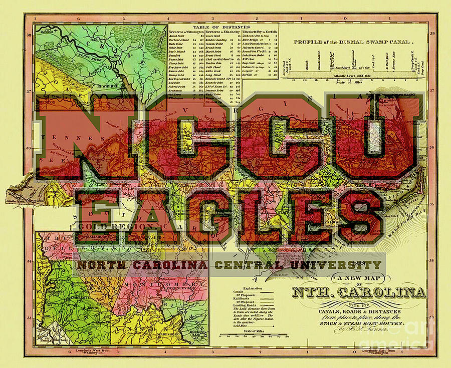 North Carolina Central University Eagles Digital Art by Steven Parker