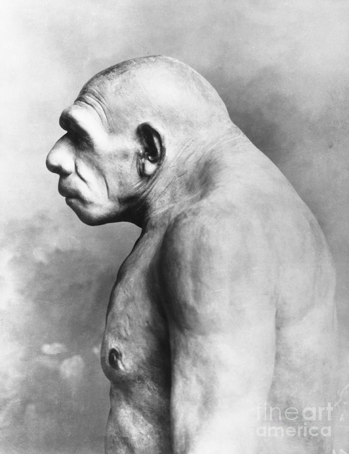 Neanderthal Man Photograph by Bettmann