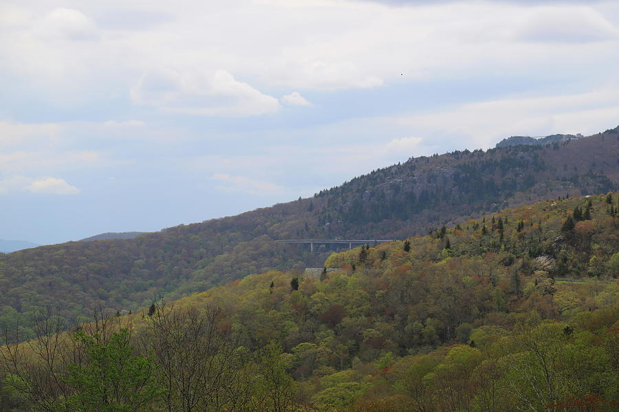 Near Grandfather Mountain On The Parkway Photograph