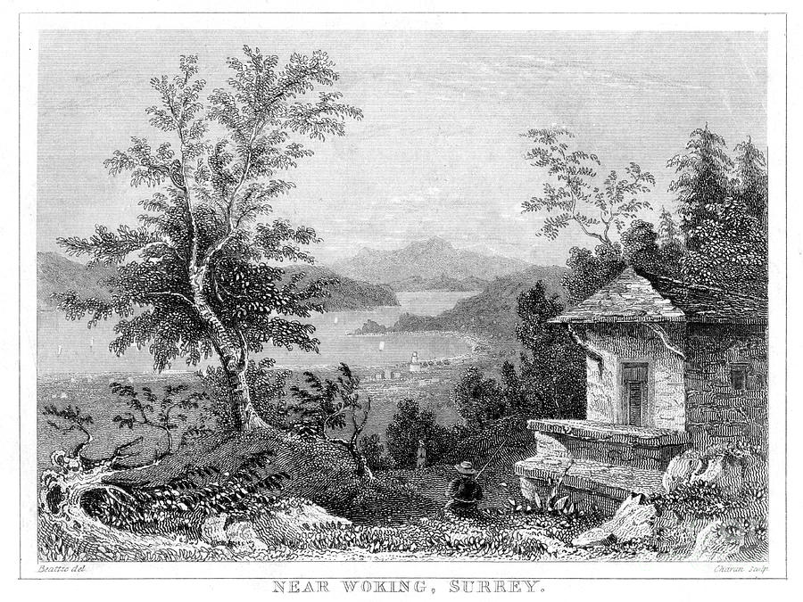 Near Woking, Surrey, 19th Drawing by Print Collector