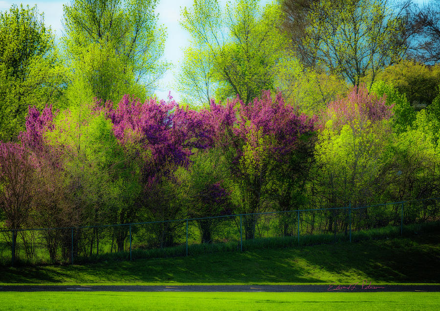 Nebraska Springtime Photograph by Ed Peterson
