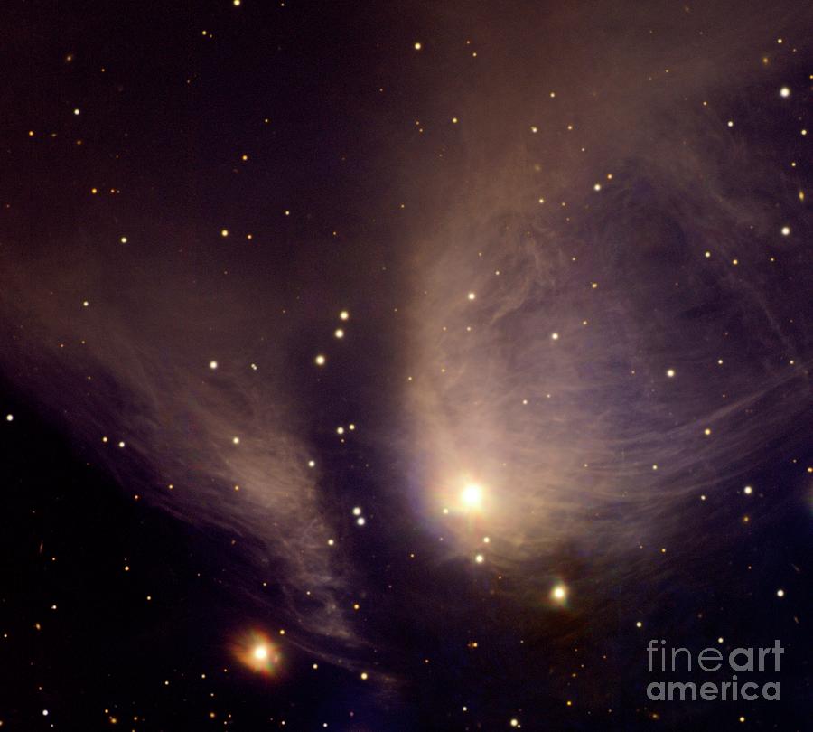 Nebula Ry Tauri Photograph by Noao/aura/nsf/science Photo Library