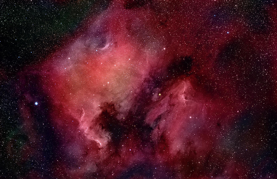 Nebulae In Cygnus Photograph by Plefevre