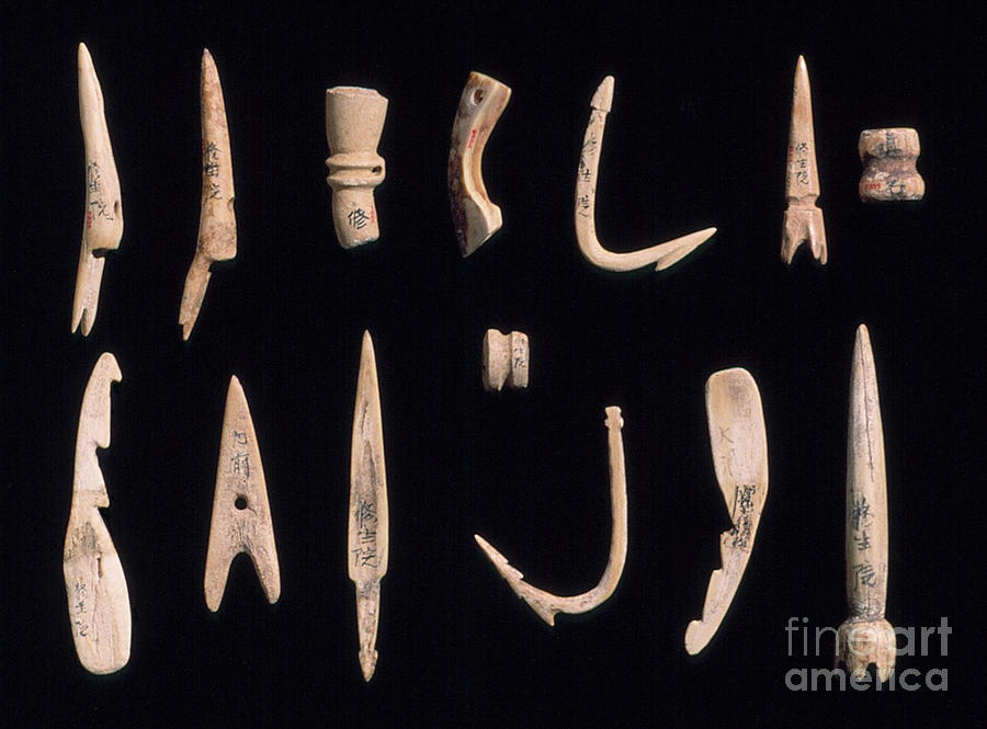 Needles, Hooks, And Harpoon Bone Photograph by Japanese School