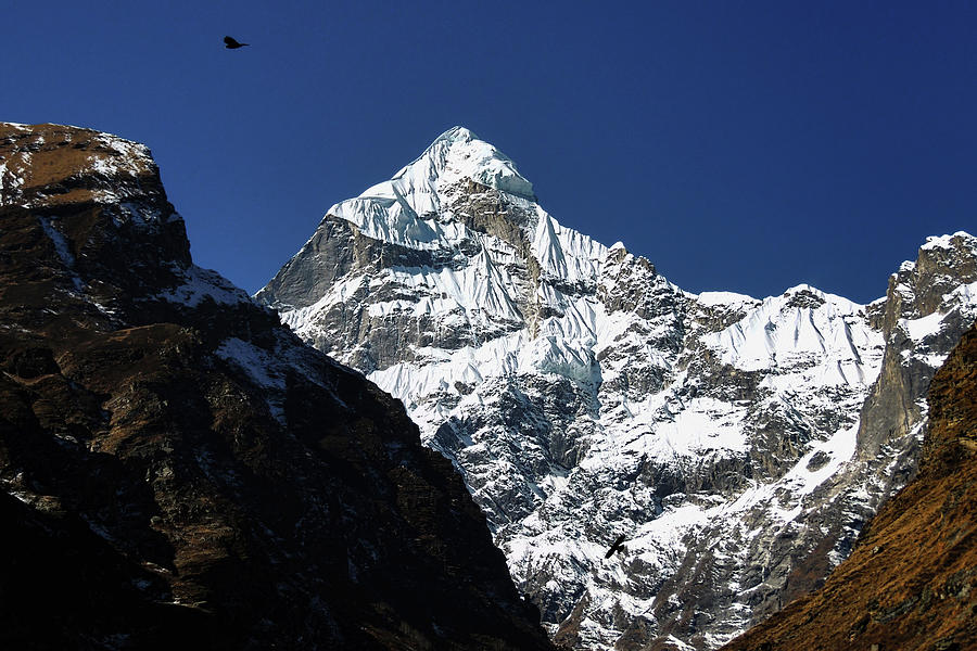 Neelkanth Peak Photograph by Pankaj Sharma - Pixels