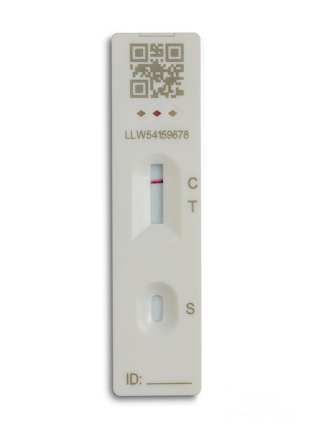 Negative Lateral Flow Test For Covid-19 Photograph by Victor De ...