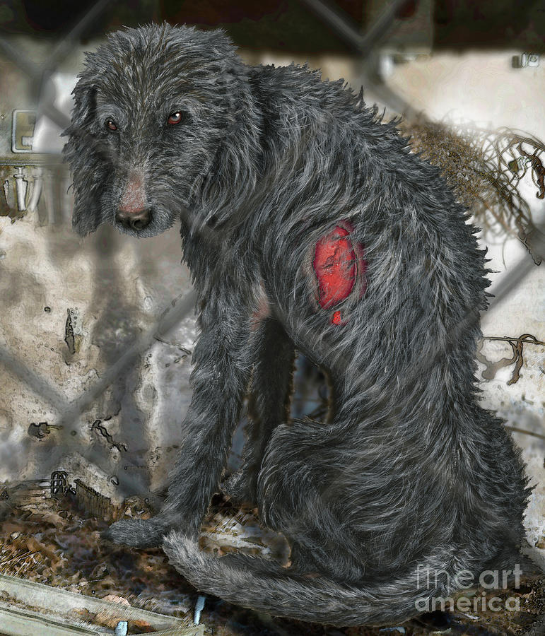 Neglected Dogs - Abused Animals - Misshandelter Hund - Verwahrloster Hund - Fineart - Stock Image Painting
