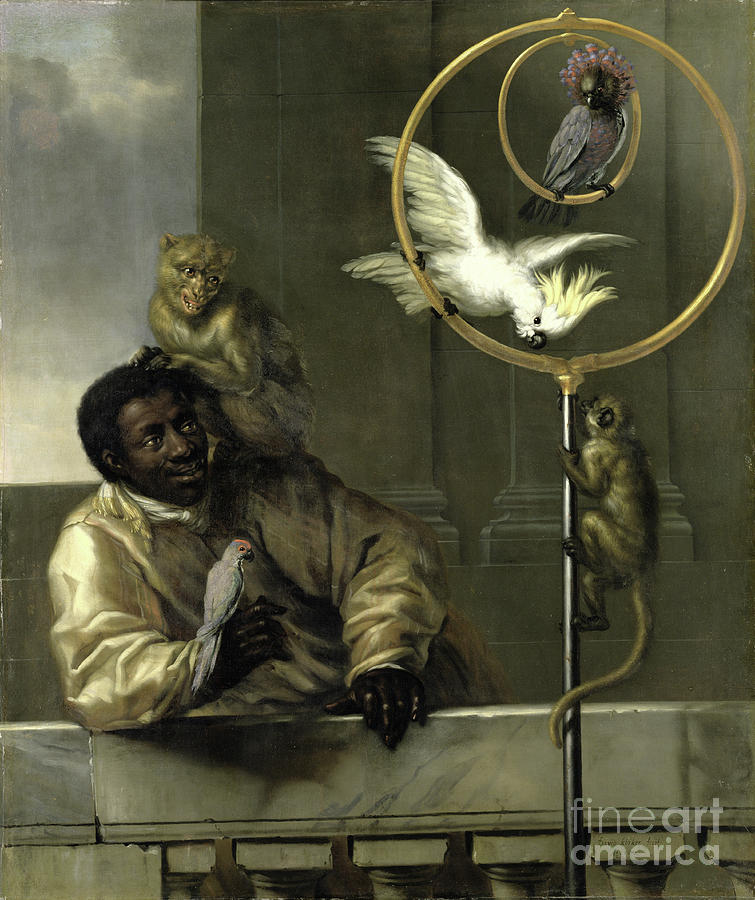 Negro With Parrots And Monkeys, 1670 Painting by David Klocker Ehrenstrahl
