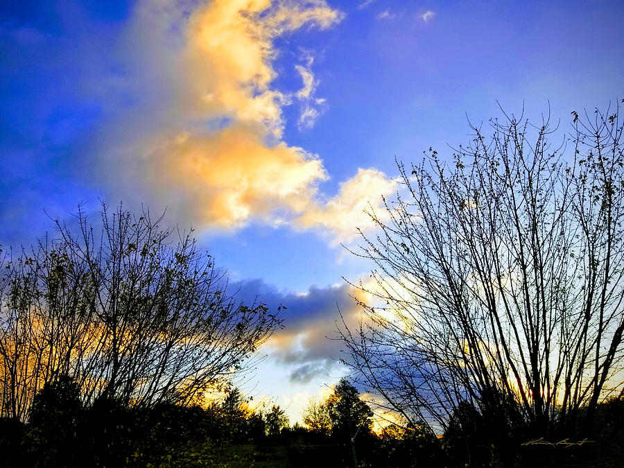 Neighborhood Sky by Kume Bryant Neighborhood Sky by Kume Bryant