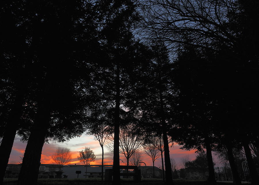 Neighborhood Sunrise Photograph by Richard Thomas