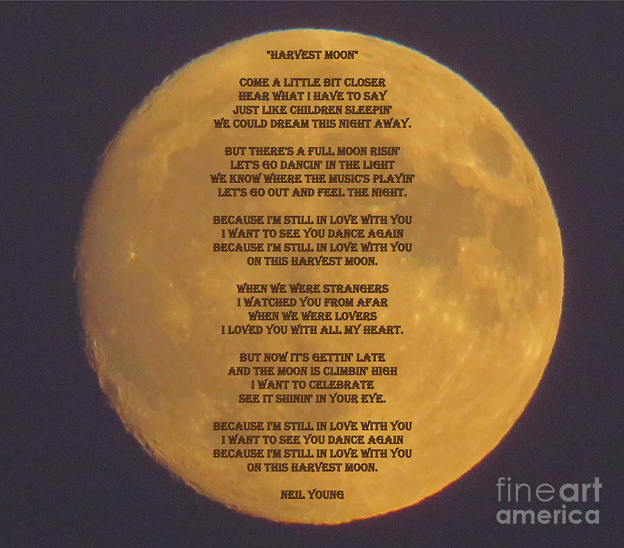 lyrics for harvest moon by neil young