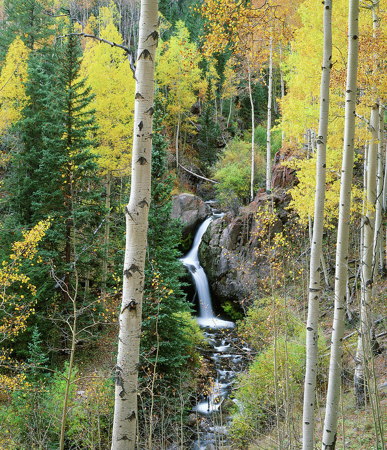 Nelly Creek Falls Photograph by Matthew Santomarco | Fine Art America