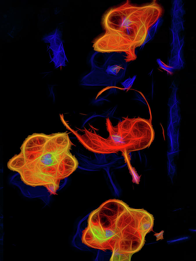 Neon Bouquet Photograph by Paul Wear