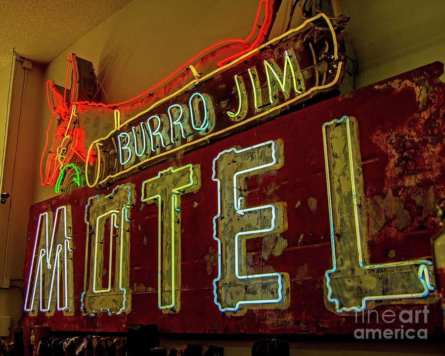 Neon Burro Jim Photograph by Stephen Whalen