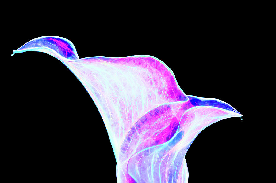 Neon Calla Lily Digital Art by Scott Lyons