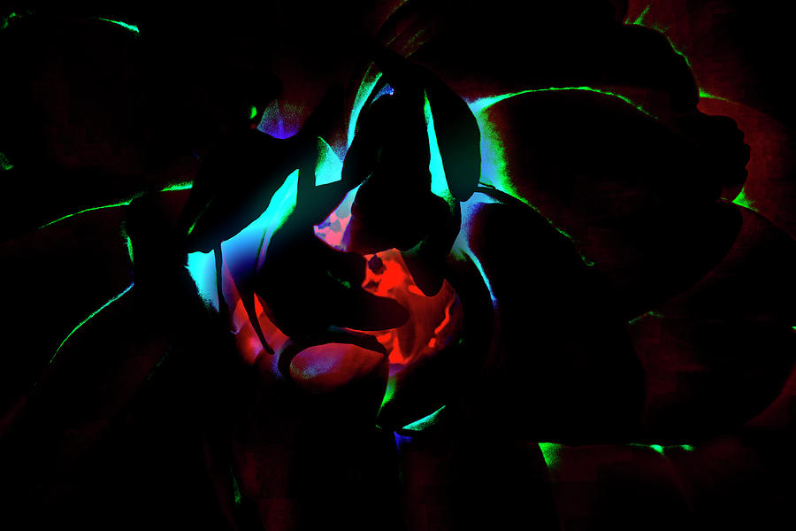 Abstract Photograph - Neon Glow In The Dark 03 by Eva Bane