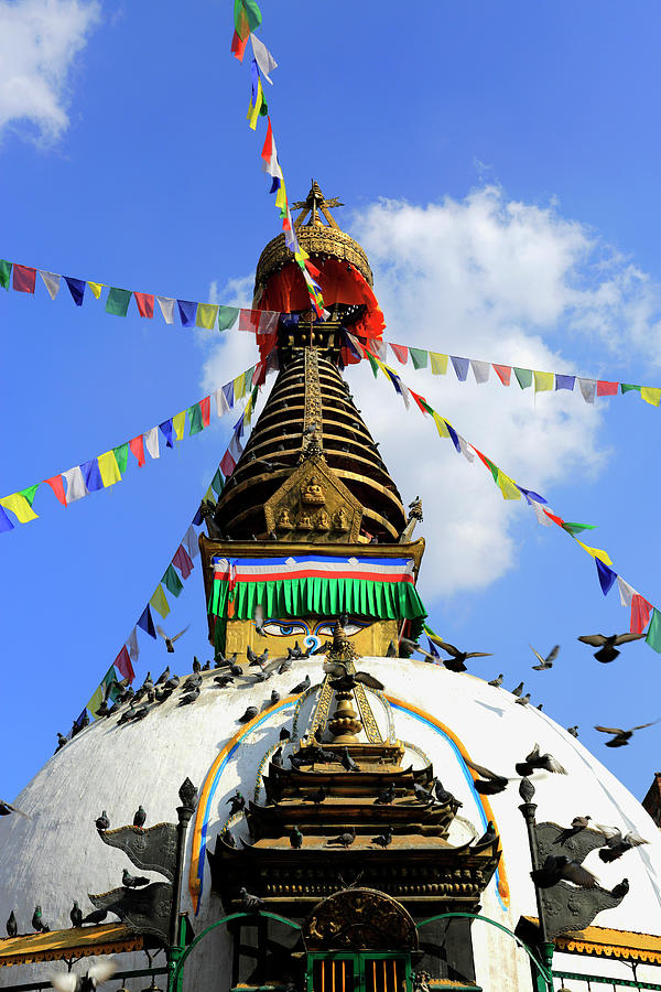Nepal, Khatesimbhu Stupa Digital Art by Dave Porter