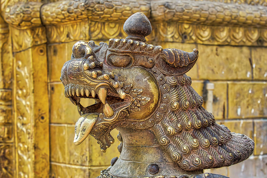 Nepali Golden Dragon Photograph by Lindley Johnson