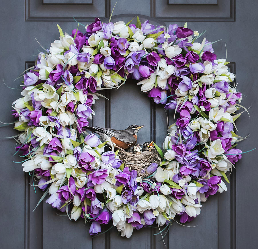 Nest With Robin And Her Baby Birds In It On A Wreath Of A ...