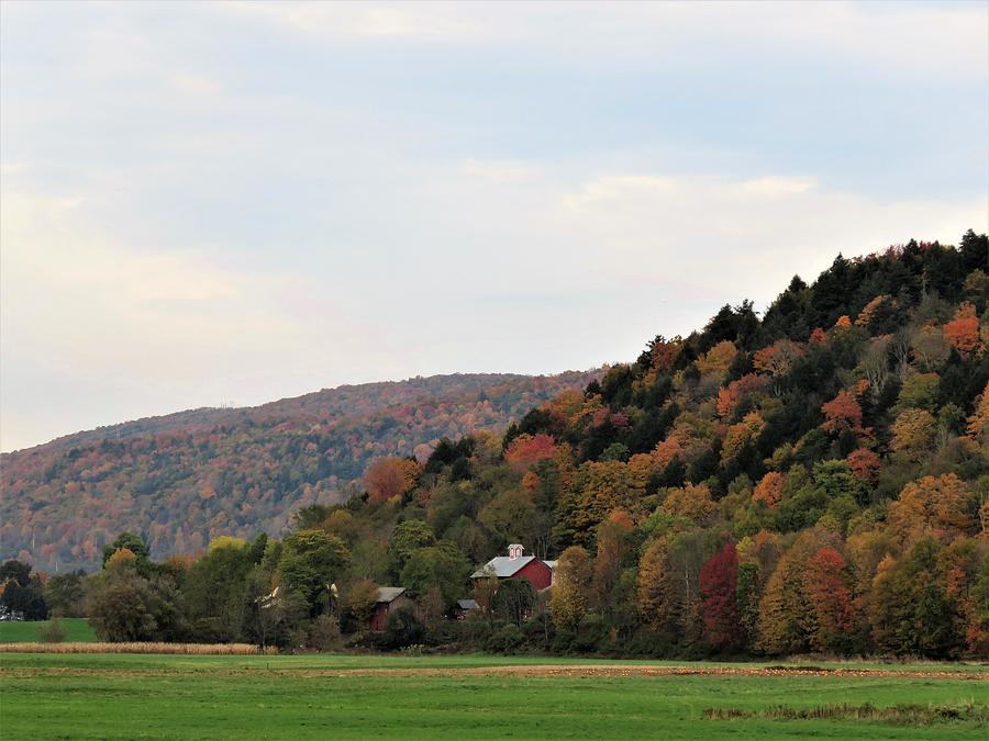 Nestled in the Hills Photograph by Carol McGrath - Fine Art America