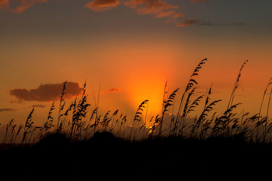 Nestor Sunset Photograph by Robert Wilder Jr