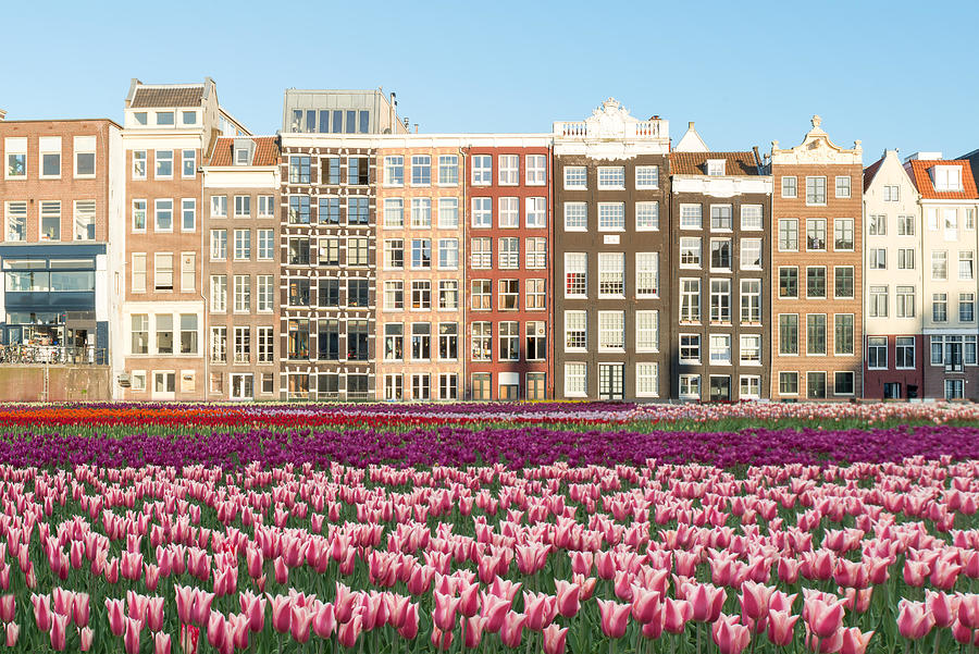 Flower Photograph - Netherlands Tulips And Facades Of Old by Prasit Rodphan