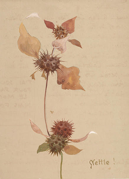 Flowers Still Life Painting - Nettle by Lilias Trotter