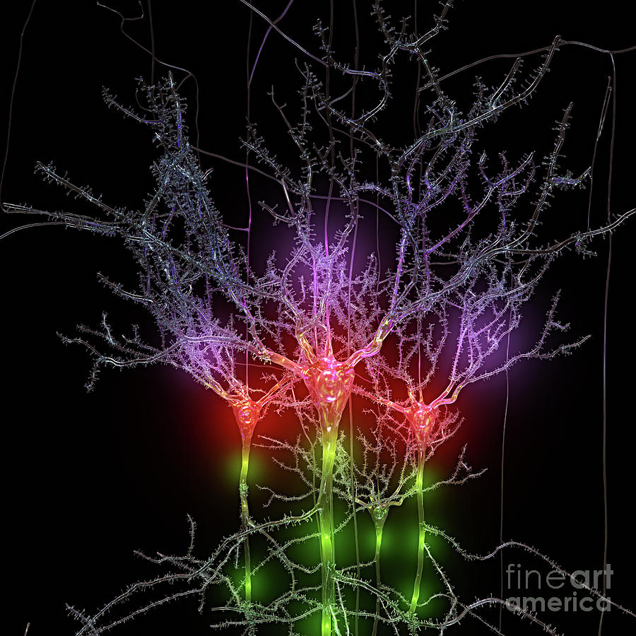 Neuron Field Glassy Glow Digital Art by Russell Kightley