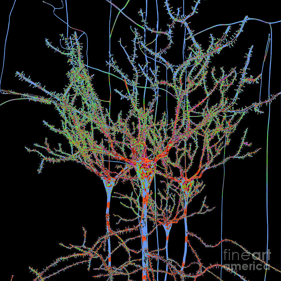 Neuron Field Vector Blue Green Digital Art by Russell Kightley