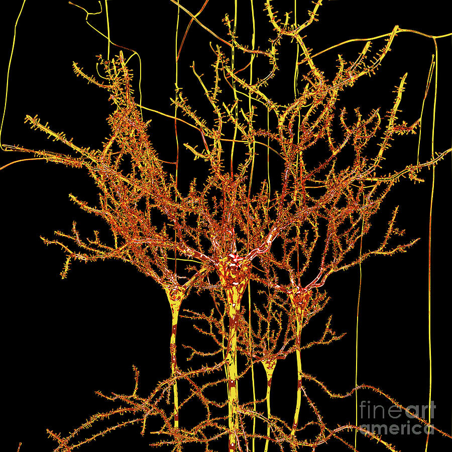 Neuron Field Vector Golden Yellow Digital Art by Russell Kightley