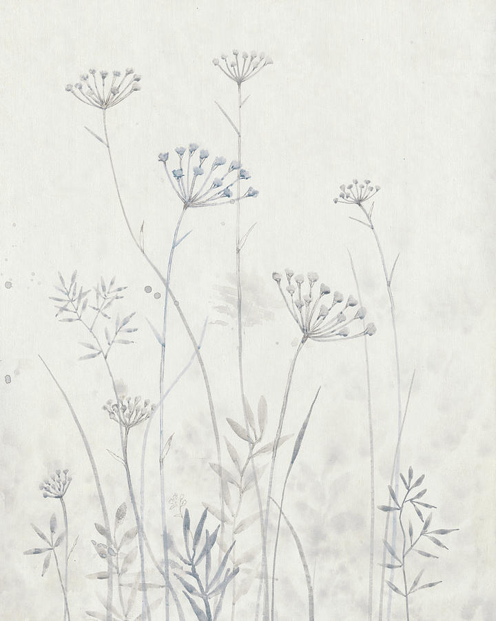 Flower Painting - Neutral Queen Annes Lace I by Tim Otoole